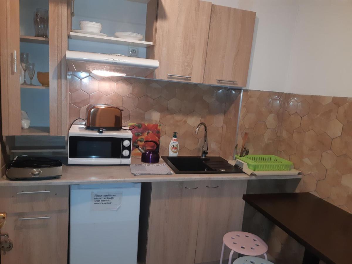 Apartamenty I Pokoje Goscinne Nowita Zakopane Kültér fotó