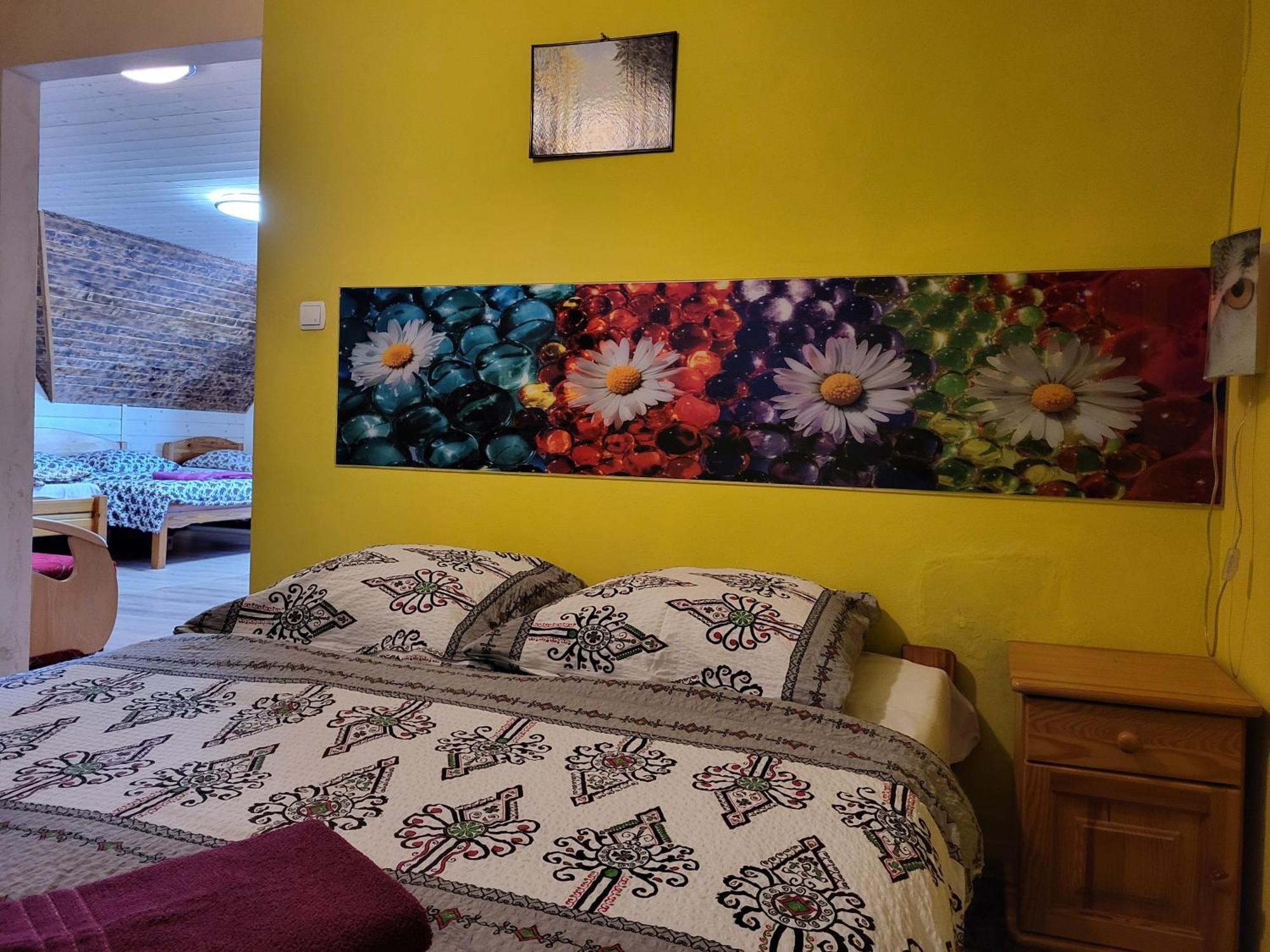 Apartamenty I Pokoje Goscinne Nowita Zakopane Kültér fotó